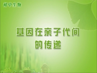 《基因在亲子代间的传递》参考课件