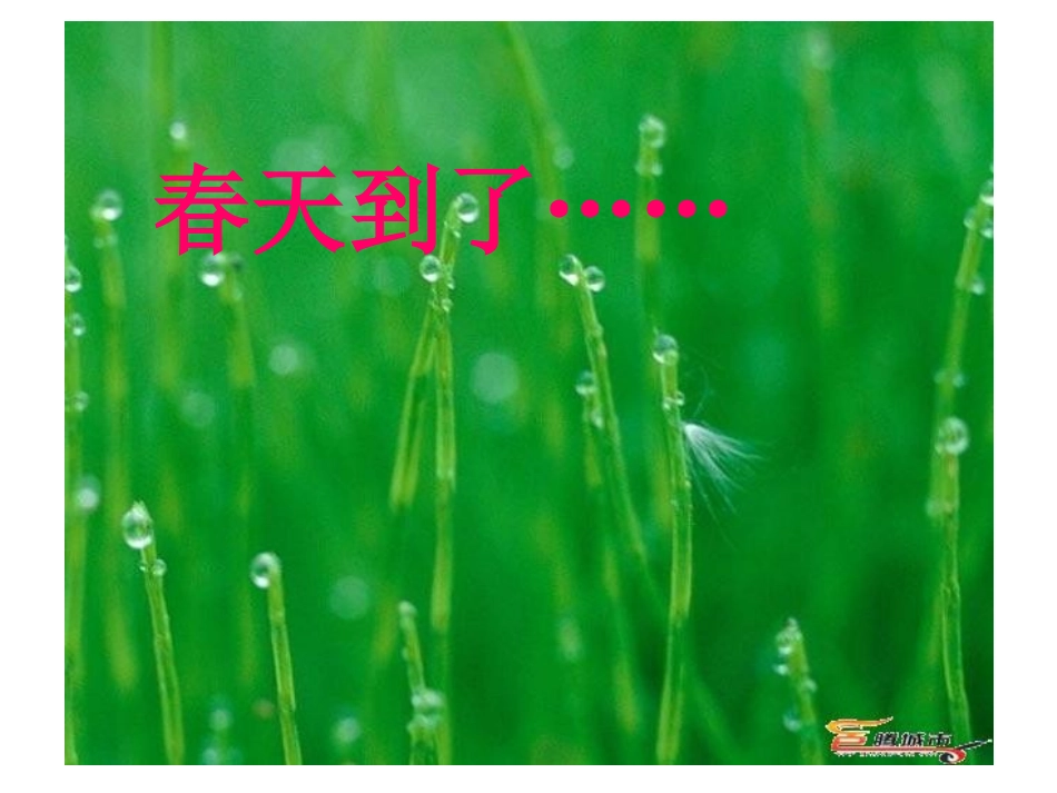 《永生的眼睛》PPT_第1页