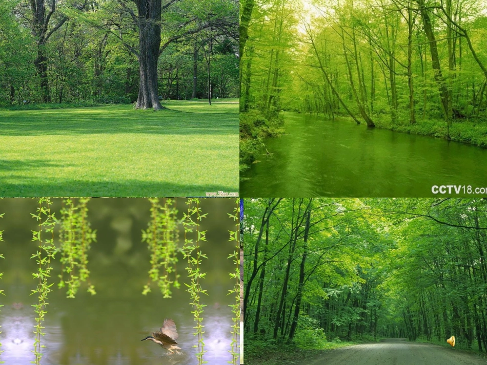 《永生的眼睛》PPT_第2页