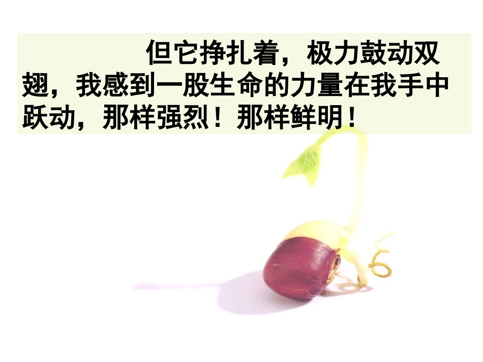 生命生命(参加第三届优秀教案评比)改_第3页