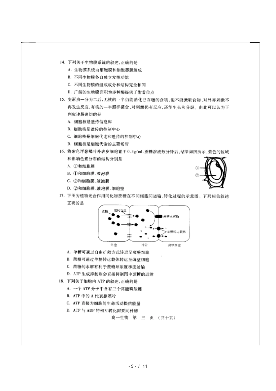 江苏陆慕高级中学2018_2019学年高一生物上学期期末考试试题_第3页