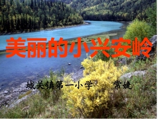 美丽的小兴安岭生字