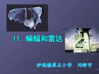 蝙蝠和雷达四年下册语文