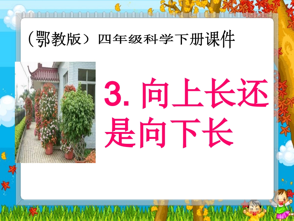 向上长还是向下长（鄂教版四年级下册）PPT课件_第1页
