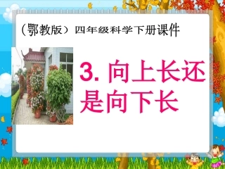 向上长还是向下长（鄂教版四年级下册）PPT课件