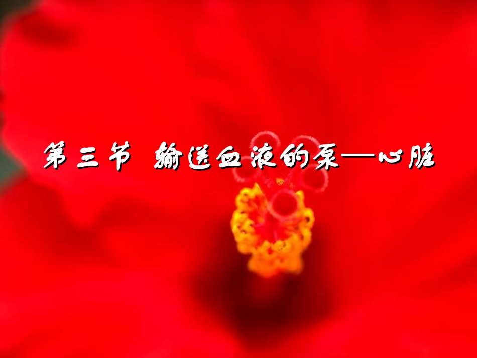 人教版生物七下43《输送血液的泵—心脏》课件_第1页