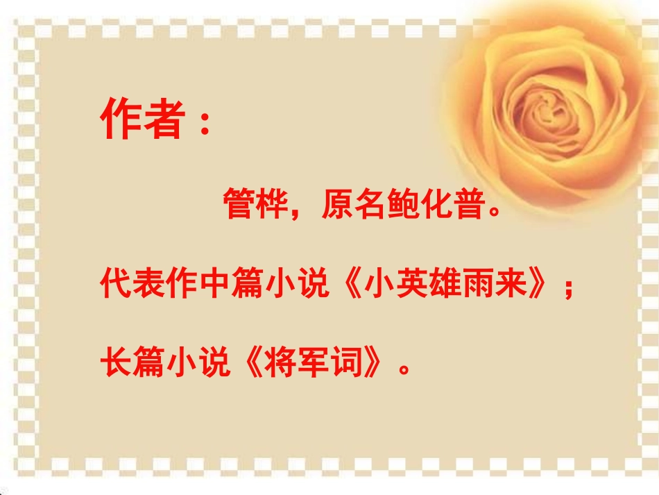 小英雄雨来课件_第2页