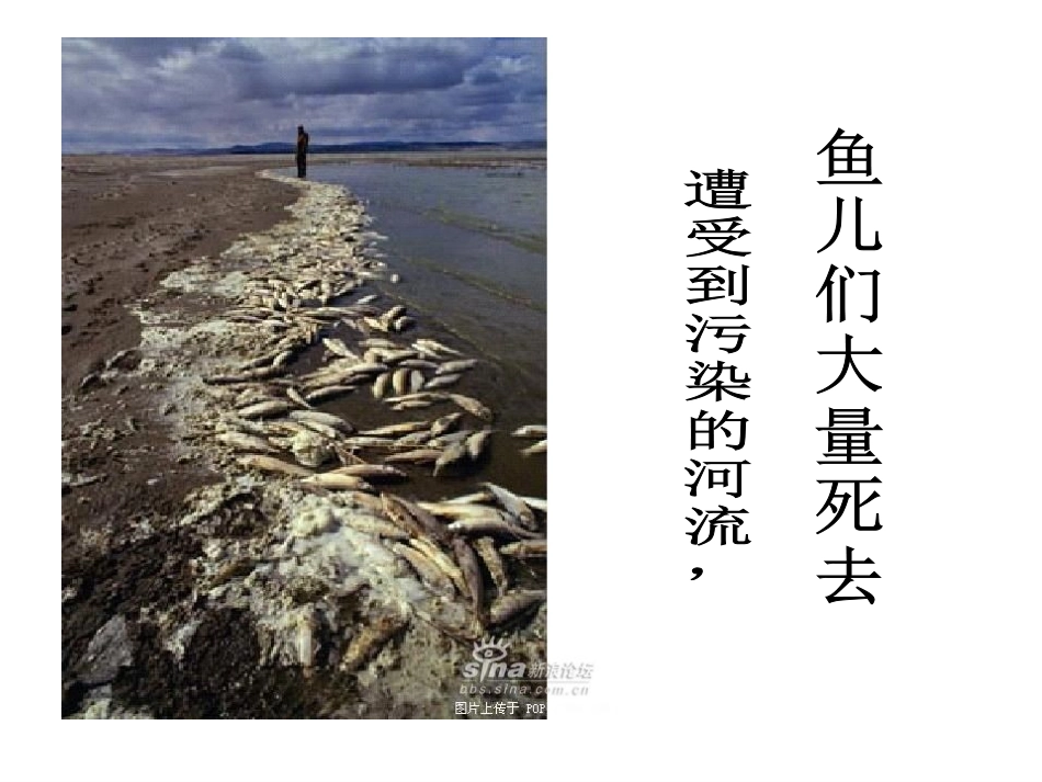 地球妈妈在哭泣_第3页