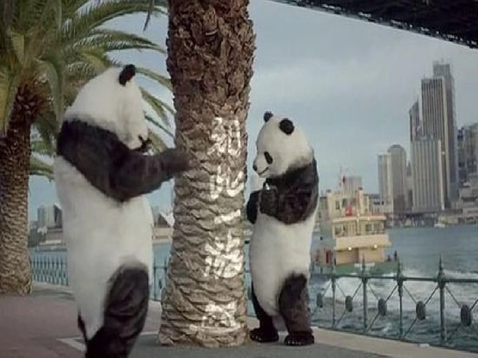 公民的政治生活_第1页