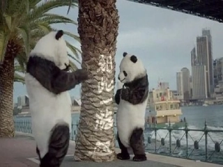 公民的政治生活