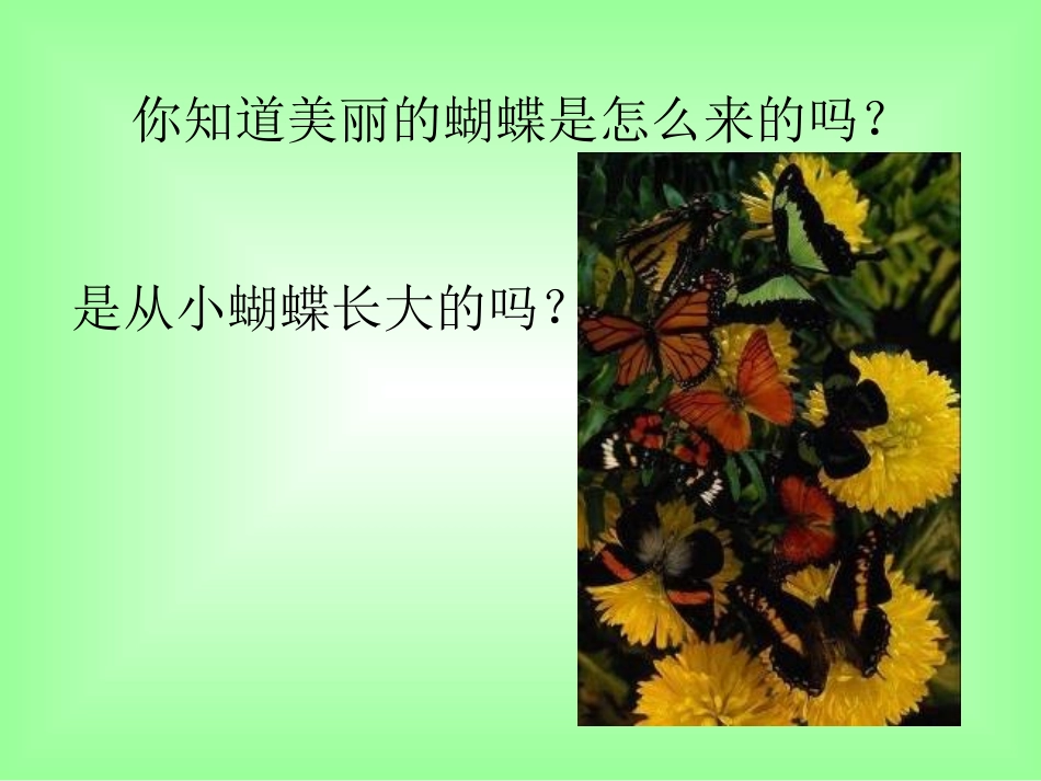 昆虫的生殖和发育 (3)_第2页