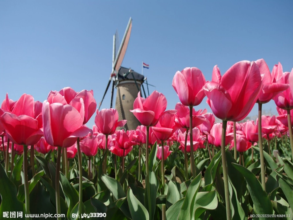 搜索旅游信息课件_第2页