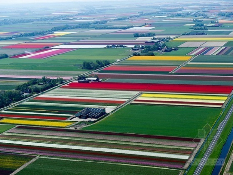 搜索旅游信息课件_第3页