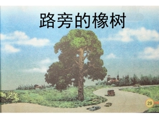 沪江小学资源网_8、路旁的橡树_2013011834608788_457