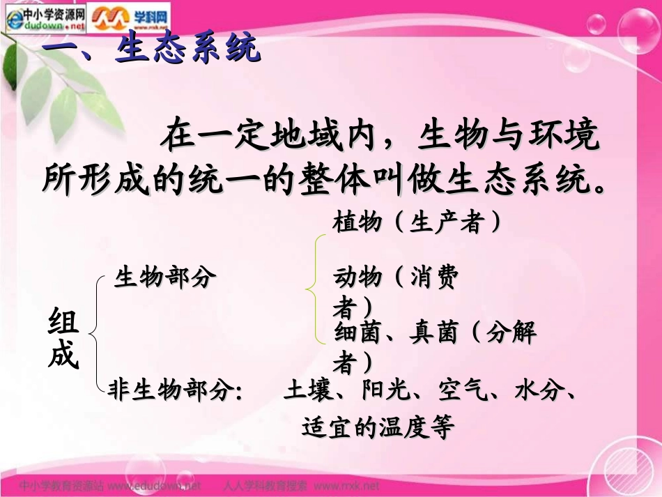 人教版生物七上第四节《生态系统》课件_第2页