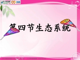 人教版生物七上第四节《生态系统》课件