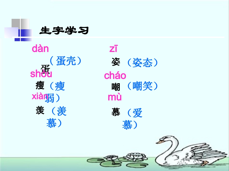 北师大版《丑小鸭》_第3页