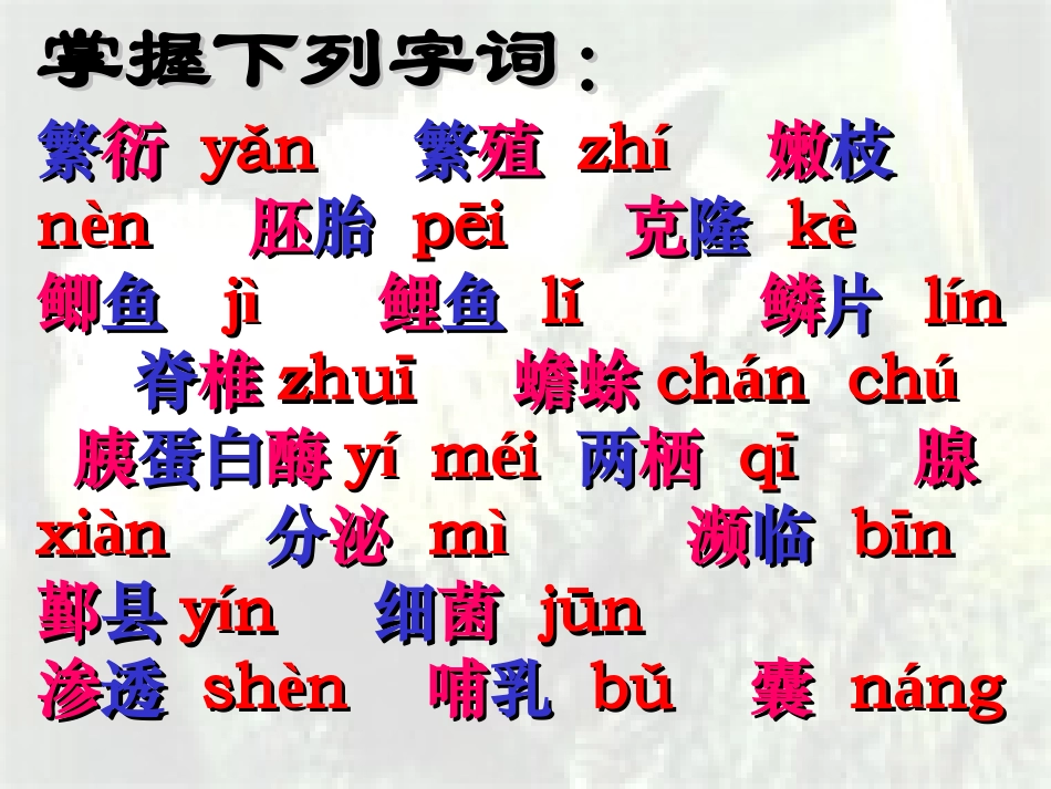 奇妙的克隆2_第3页