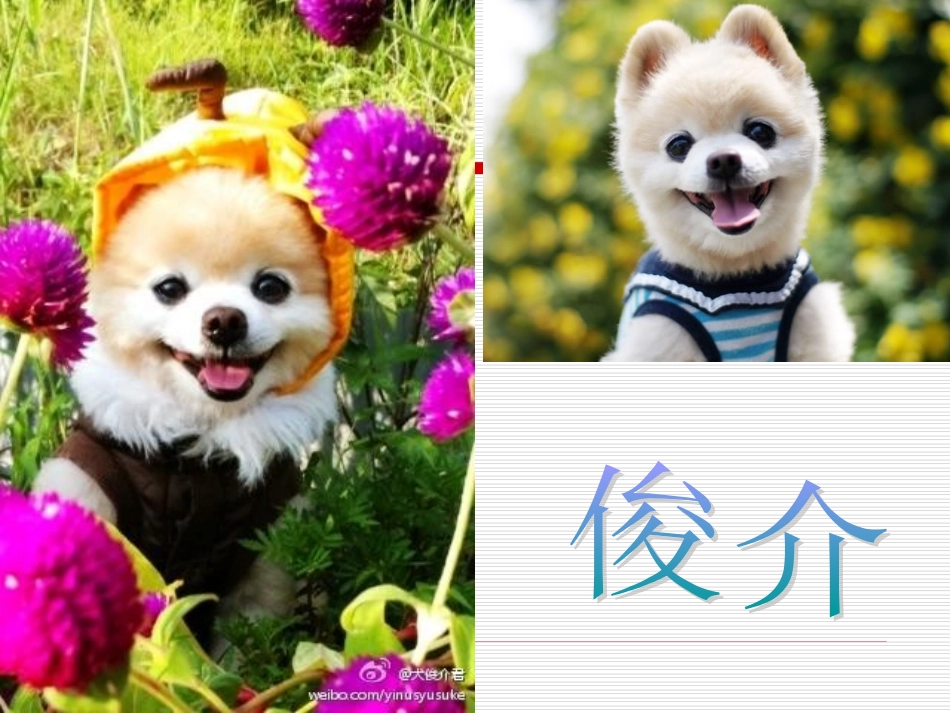 新版PEP五年级英语下册第四单元B部分READANDWRITE_第2页