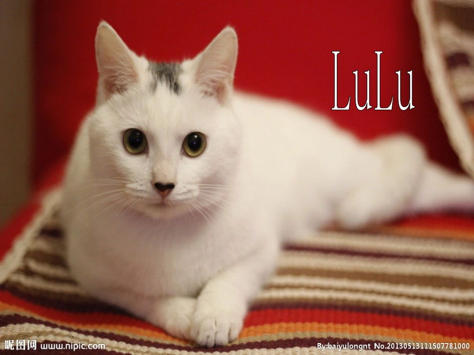 新版PEP五年级英语下册第四单元B部分READANDWRITE_第3页