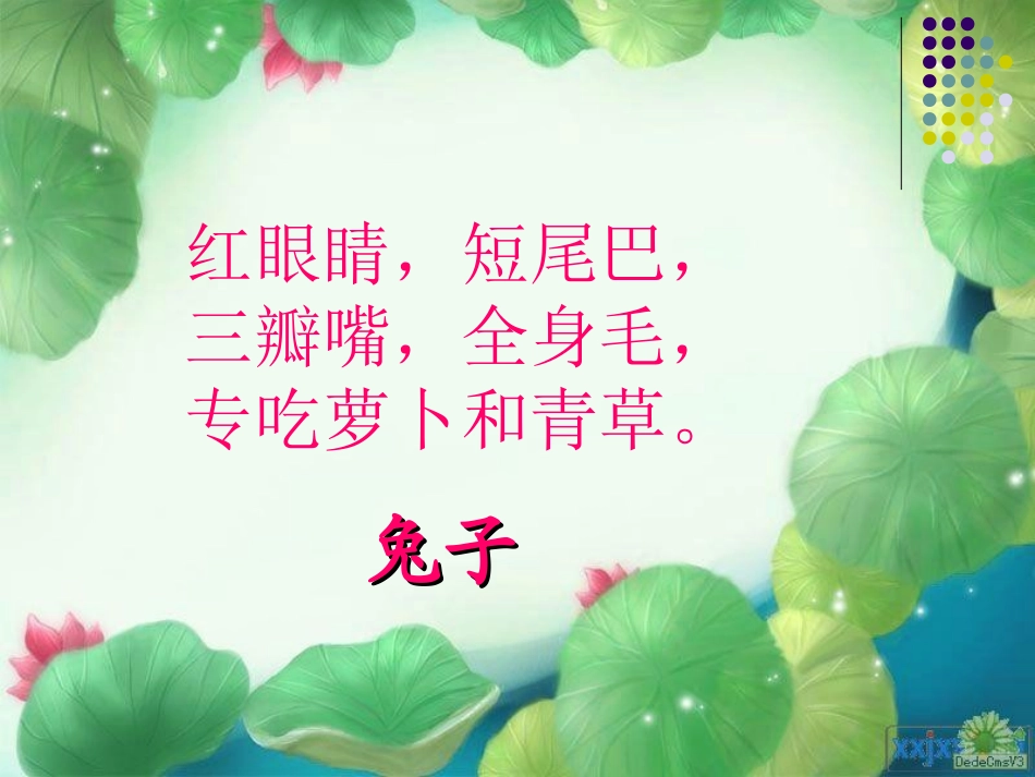 小白兔和小灰兔 (2)_第1页