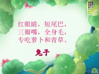 小白兔和小灰兔 (2)
