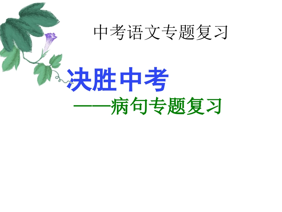 专题1——病句总结_第2页