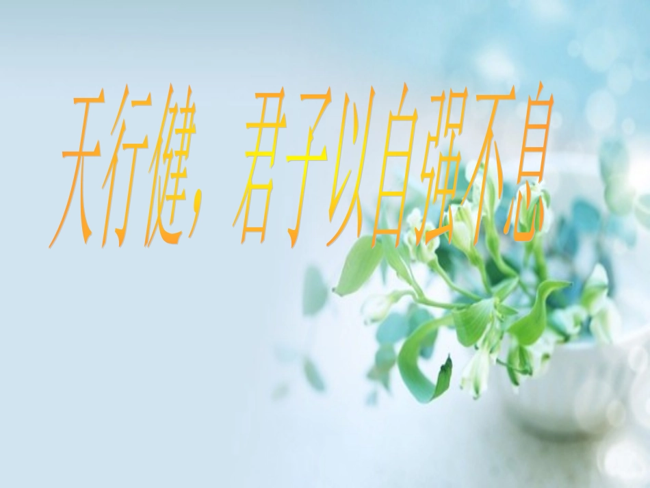 相似三角形的性质二_第2页