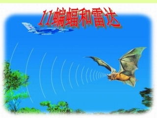 蝙蝠和雷达 (2)