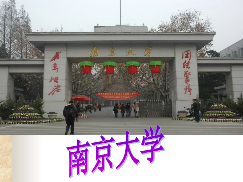 公开课《十三岁的际遇》课件dd_第2页