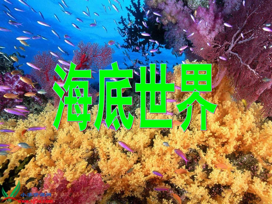 海底世界PPT_第1页