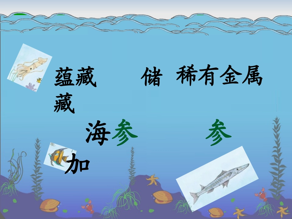 海底世界PPT_第3页