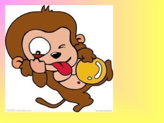 英语单词monkey