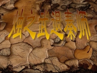 《烛之武退秦师》课件3[1]