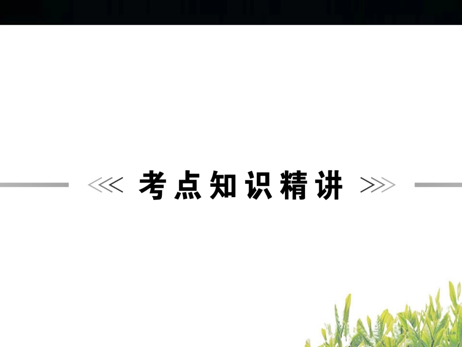 中考代词复习_第2页