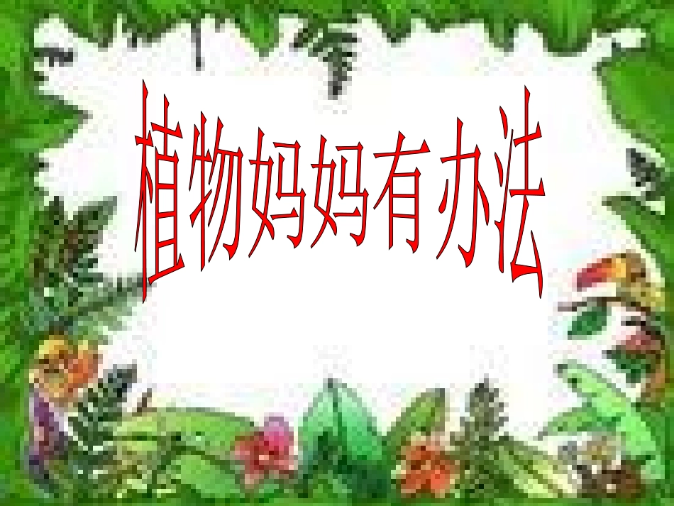 植物妈妈有办法修改稿2_第1页