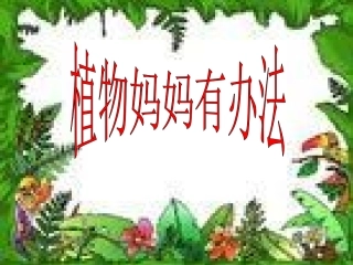 植物妈妈有办法修改稿2