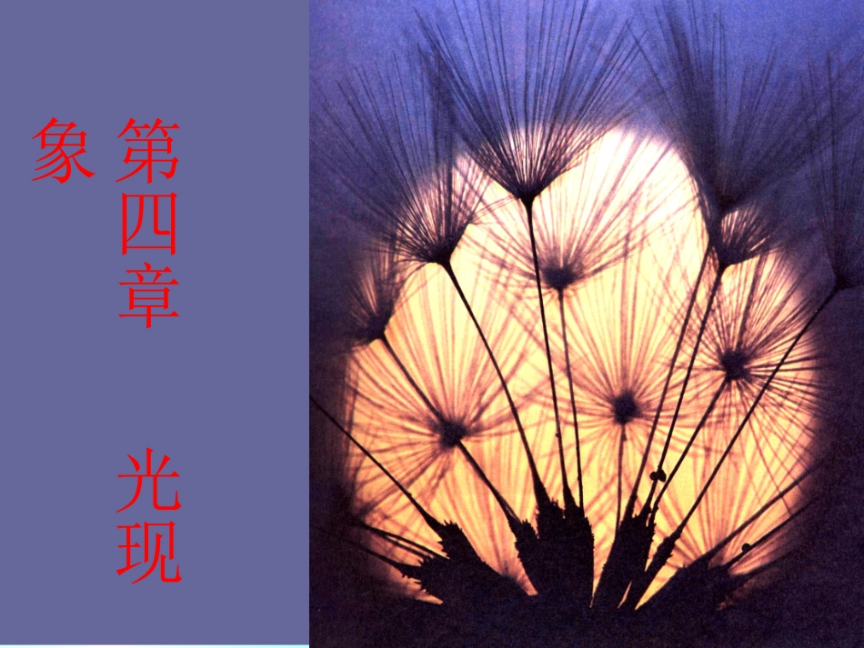 八年级物理《光的传播》课件_第1页