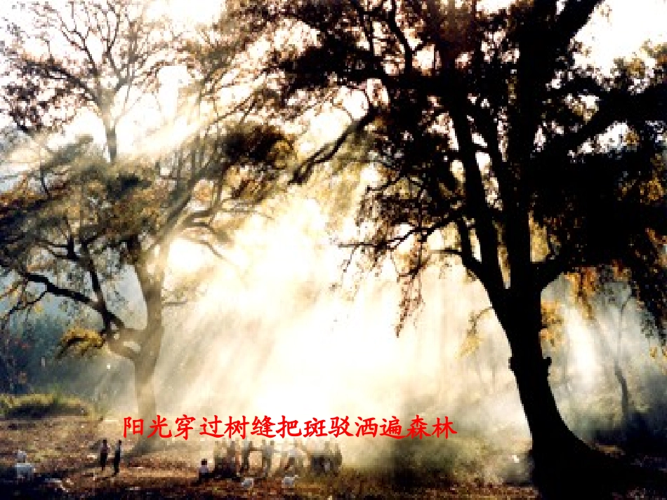 八年级物理《光的传播》课件_第2页