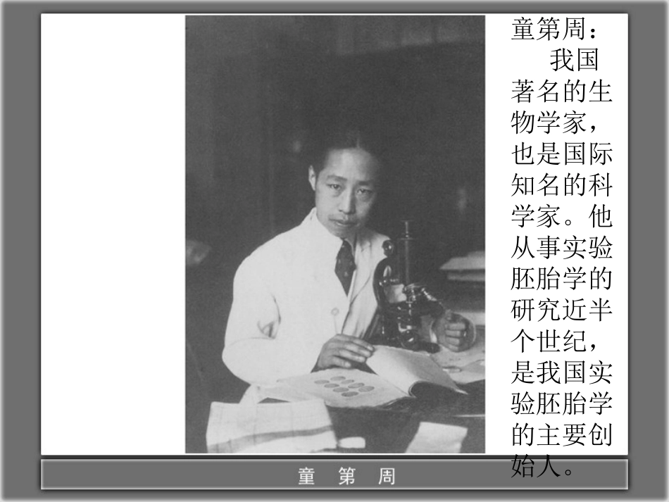 一定要争气第一课时_第3页