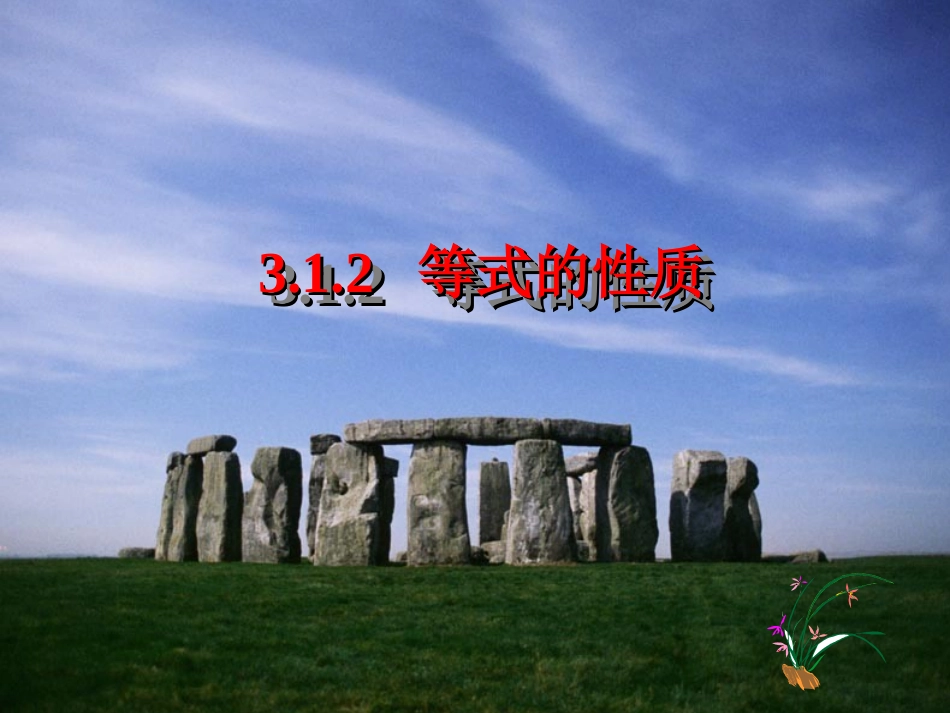 等式的性质课件_第2页