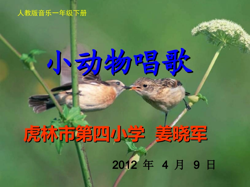 小动物唱歌用_第2页