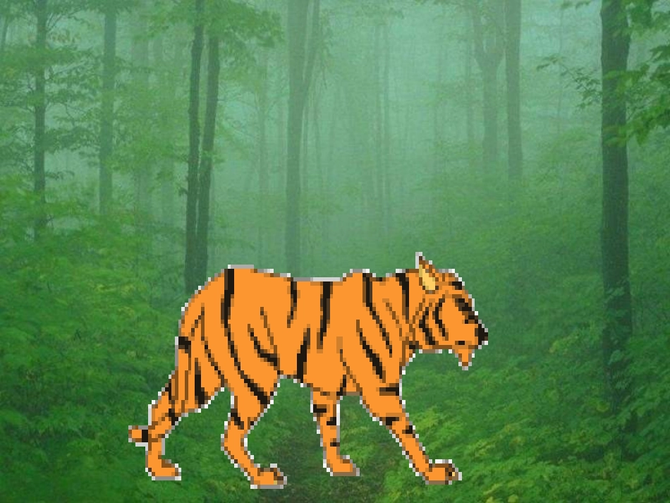 小动物唱歌用_第3页