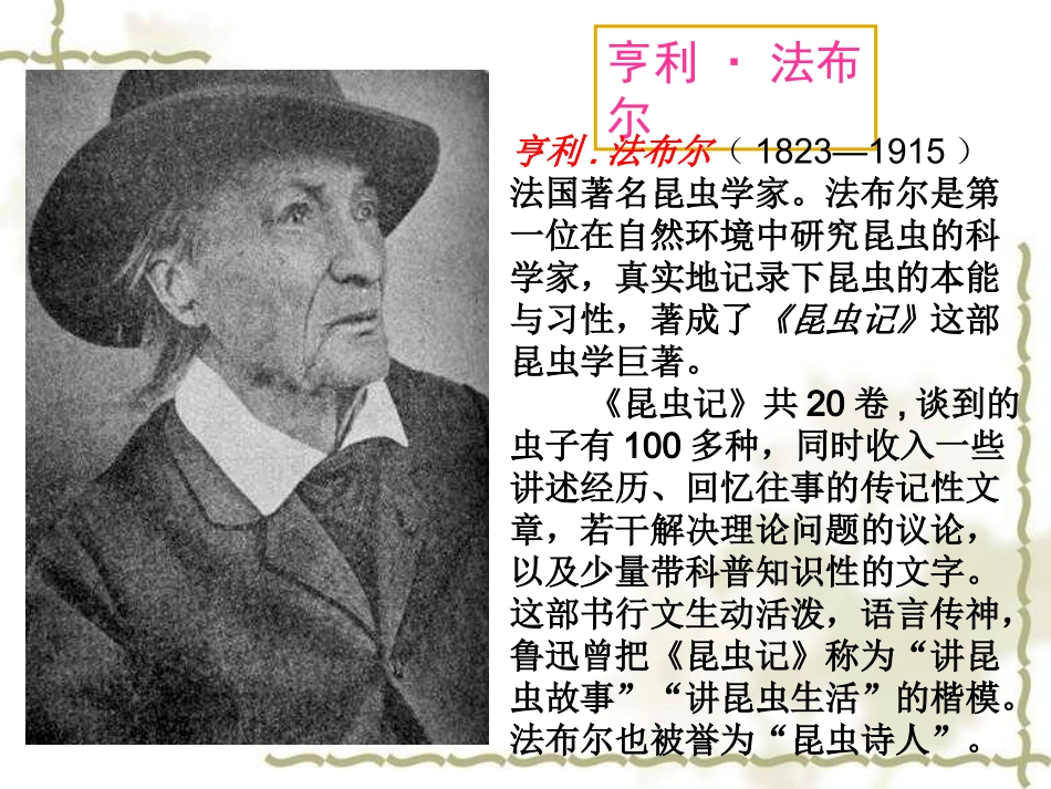 绿色蝈蝈 (2)_第3页