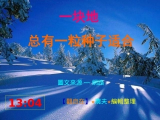 一块地总有一粒种子适合