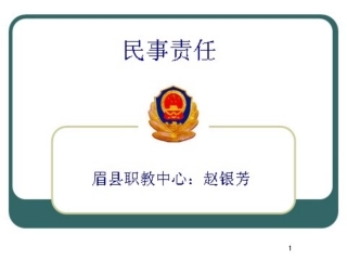 赵银芳民事责任课件