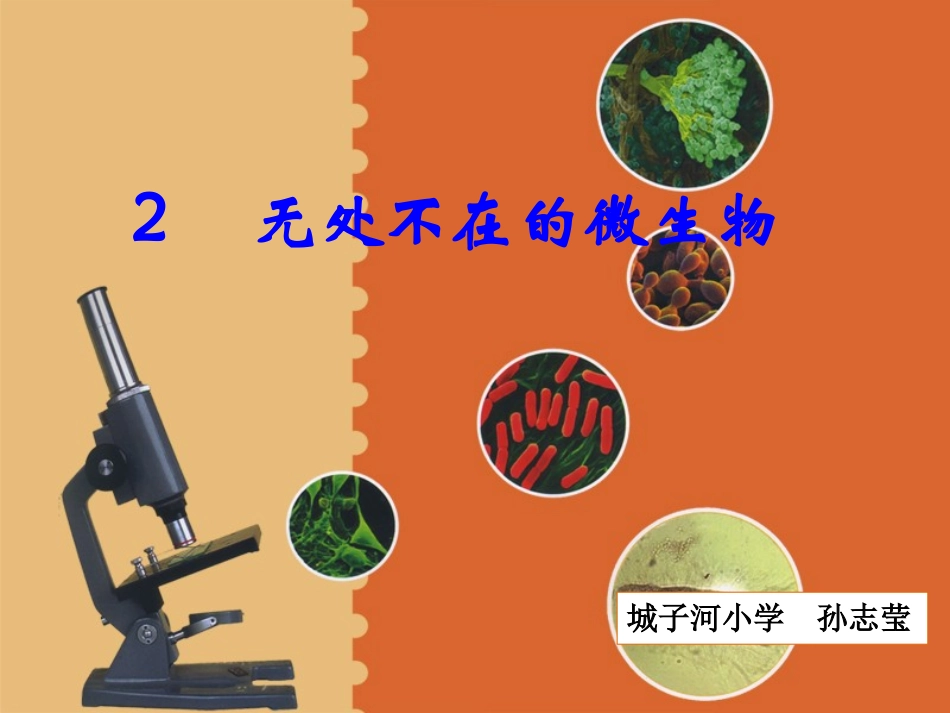 无处不在的微生物_第1页