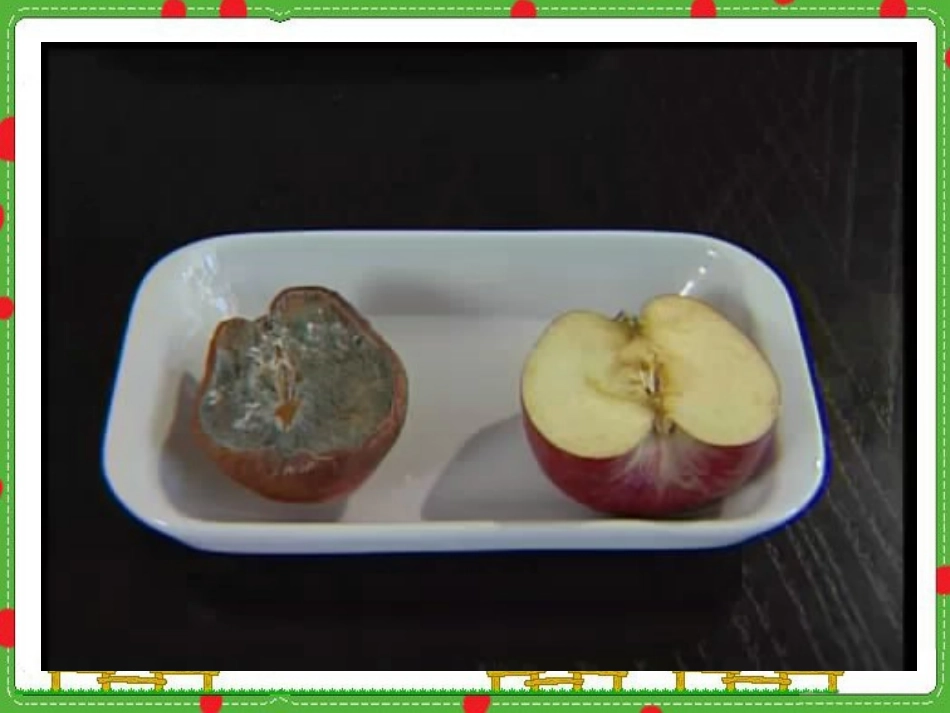 无处不在的微生物_第3页