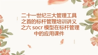 二十一世纪三大管理工具之首的标杆管理培训讲义之六SOCR模型在标杆管理中的应用课件1