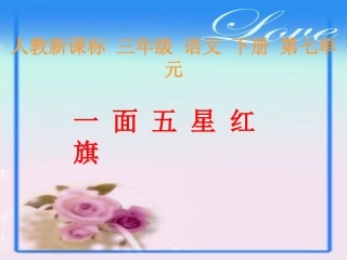 一面五星红旗 (4)